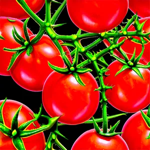 Cherry Tomatoes On Vine Png Yar14 PNG image