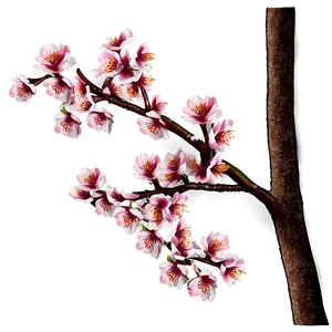 Cherry Tree And Birds PNG 06212024