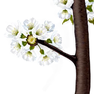 Cherry Tree Art PNG 79 PNG