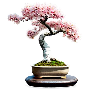 Cherry Tree Bonsai PNG 85