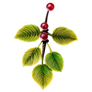 Cherry Tree Close-up PNG Usk PNG