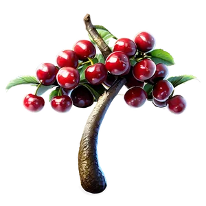 Cherry Tree Fruit PNG Xgk PNG