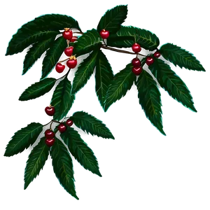 Cherry Tree Leaf PNG 06212024 PNG