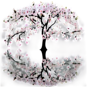 Cherry Tree Reflection PNG 06212024