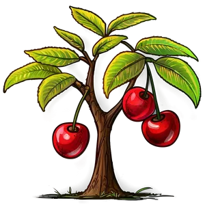 Cherry Tree Sketch PNG 06212024 PNG