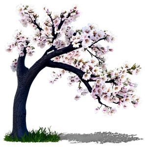 Cherry Tree Spring PNG Rhv6 PNG
