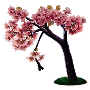 Cherry Tree Sunset Png Hdt PNG image