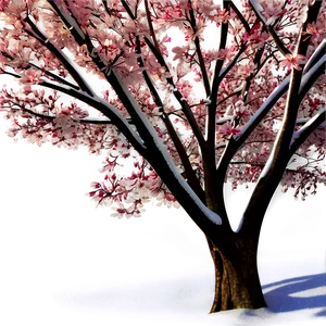 Cherry Tree Winter PNG 06212024