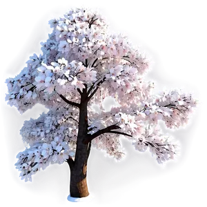 Cherry Tree Winter PNG 47 PNG