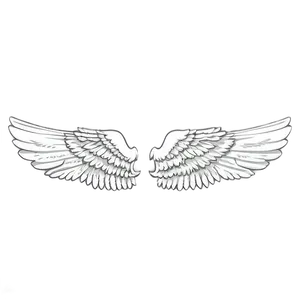 Cherubic White Wings PNG Ccd65 PNG