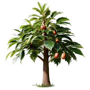 Chestnut Tree PNG Bmg71 PNG
