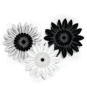 Chic Black And White Flowers PNG Ent PNG