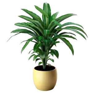 Chic Floor Plant PNG 06282024 PNG