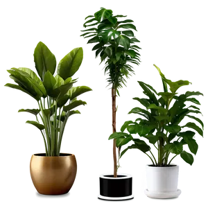 Chic Floor Plant PNG Otq PNG