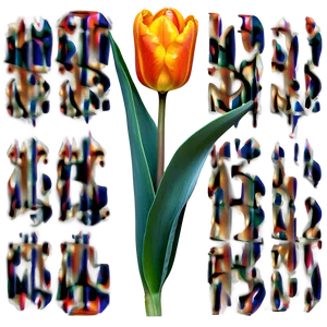 Chic Orange Tulip PNG 06122024