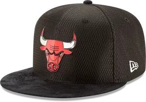 Chicago Bulls Black Flat Brim Hat PNG image