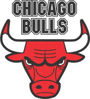 Chicago Bulls Logo PNG image