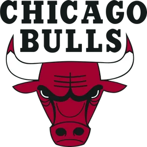 Chicago Bulls Logo Graphic PNG image