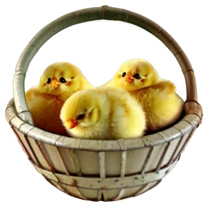 Chick Emoji PNG 37 PNG