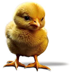 Chick Icon PNG Txj84 PNG