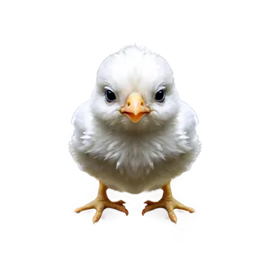 Chick Illustration PNG Igh31 PNG