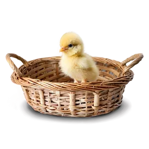 Chick In Basket PNG Brs PNG
