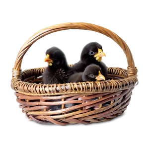 Chick In Basket PNG Civ PNG