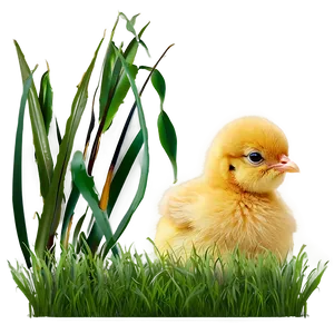Chick In Grass PNG Qps31 PNG