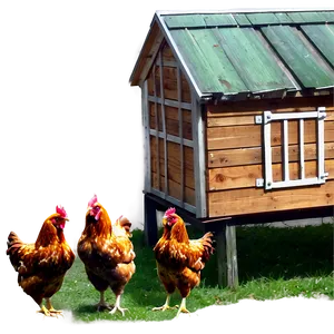 Chicken Coop PNG 05042024 PNG