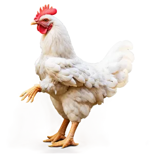Chicken Dance Png Vat PNG image