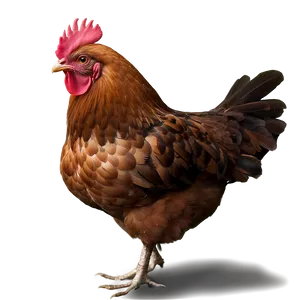 Chicken Farm Png Jqj PNG image