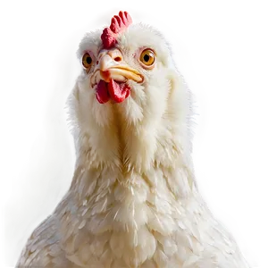 Chicken In Space PNG 05042024 PNG