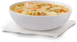 Chicken Noodle Soup Bowl