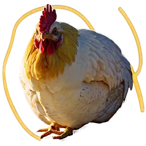Chicken Outline Png 05042024 PNG image