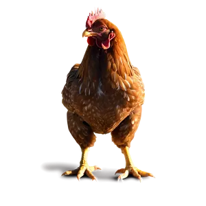 Chicken Silhouette Png 05042024 PNG image