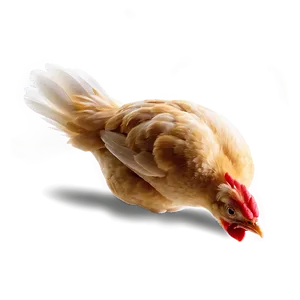 Chicken Sprite Png 81 PNG image