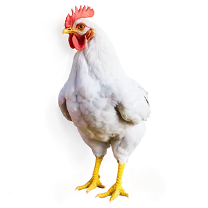 Chicken Sprite Png Ksc36 PNG image
