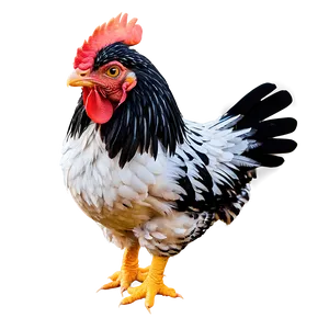 Chicken Vector Png Osu PNG image