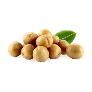 Chickpeas Beans Png Tlx53 PNG image