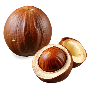 Chilean Hazelnut PNG 06122024 PNG
