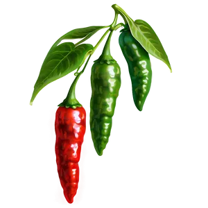 Chili Pepper Farm PNG Ijp20 PNG