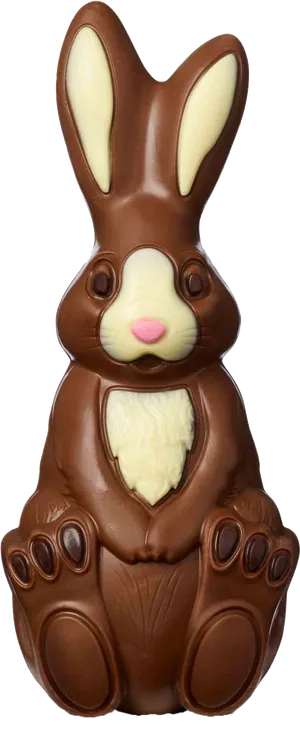 Chocolate Easter Bunny PNG image