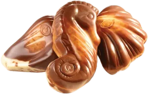Chocolate Seashells Collection