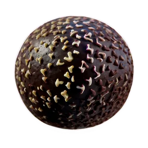 Chocolate Truffle Ball Png Vix PNG image