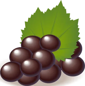 Chocolate Truffleson Leaf Vector PNG image