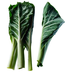 Chopped Collard Greens PNG 12