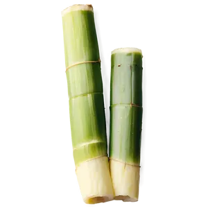 Chopped Sugarcane Pieces Png Ctn PNG image