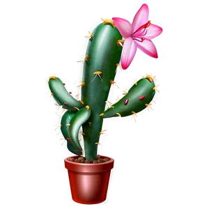 Christmas Cactus Png Jql PNG image