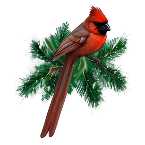 Christmas Cardinal Png 05242024 PNG image