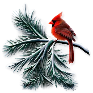 Christmas Cardinal Png 22 PNG image